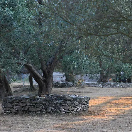 A Loghja Di Cavallo Morto Bonifacio  Exterior photo