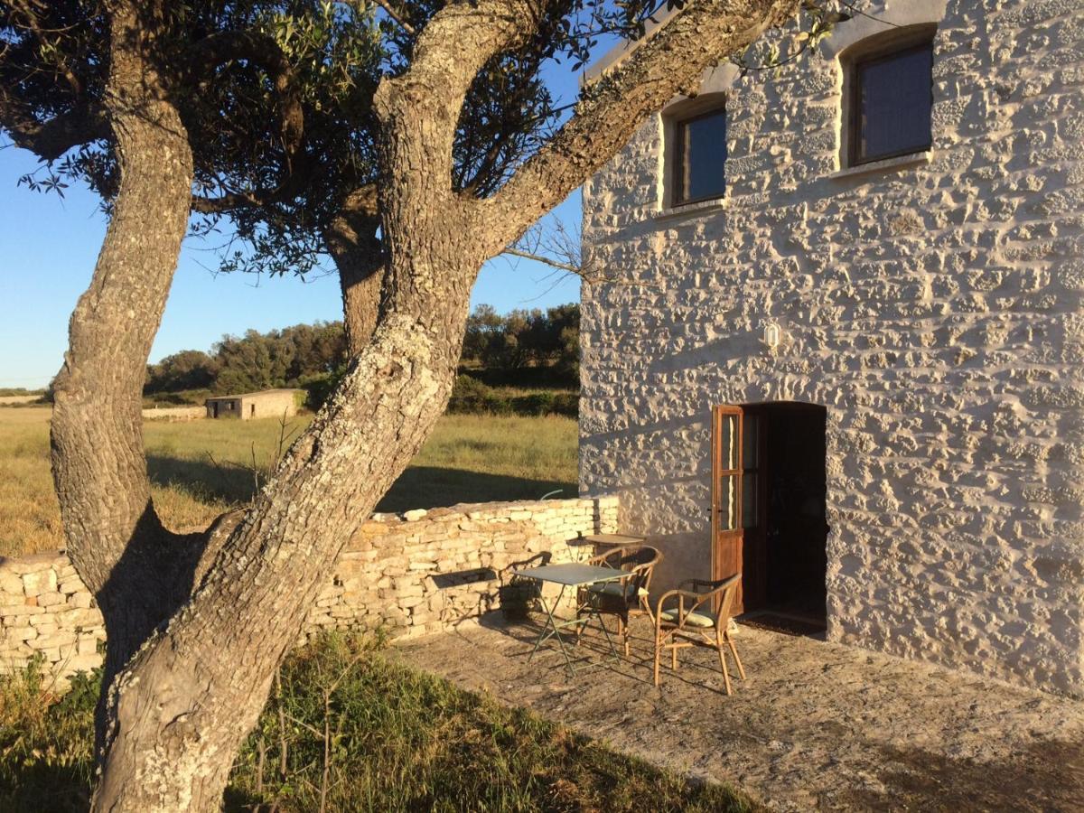 A Loghja Di Cavallo Morto Bonifacio (Corsica)