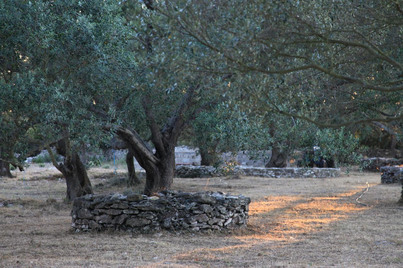 Bed & Breakfast A Loghja Di Cavallo Morto Bonifacio (Corsica)