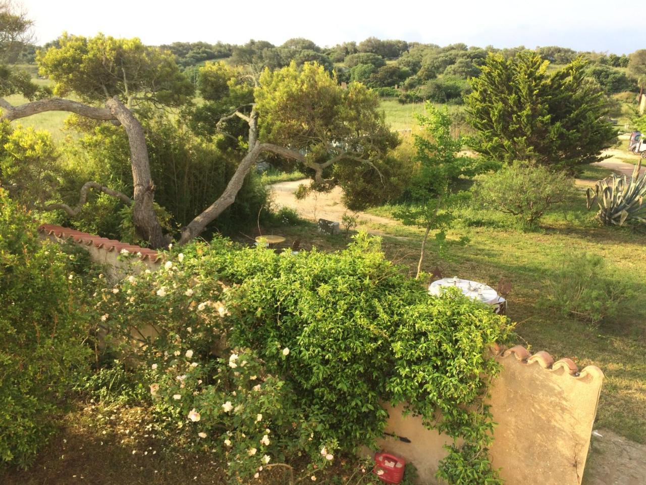 A Loghja Di Cavallo Morto Bed & Breakfast Bonifacio (Corsica)