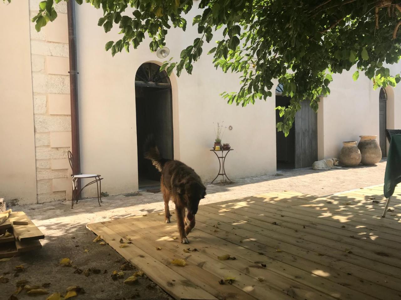 A Loghja Di Cavallo Morto